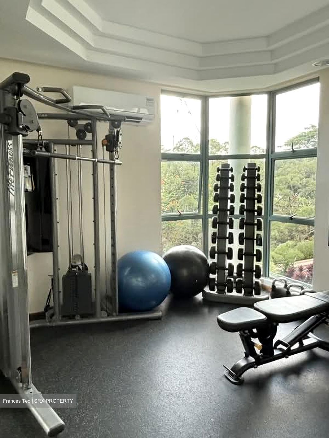 Tanglin Regency (D10), Condominium #526497671